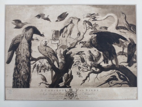 Gravure XVIIIe siècle « A Concert of Birds » - Gravures et livres anciens Style 
