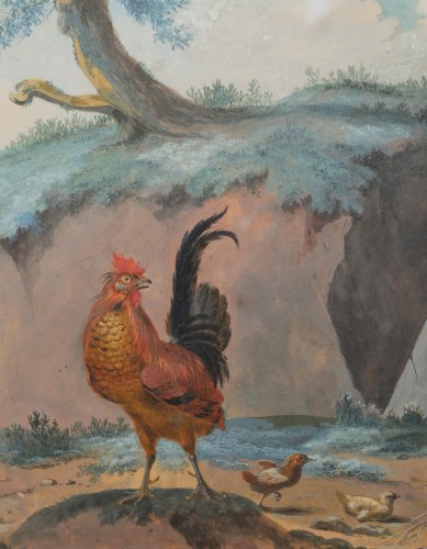 Tableaux et dessins  - Oiseaux de basse-cour - Ecole hollandaise du 18e siècle