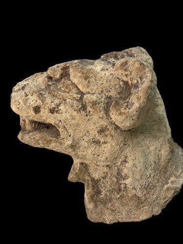 Fragment architectural gothique d'une tête de chien (France?) - Don Verboven - Exquisite Objects