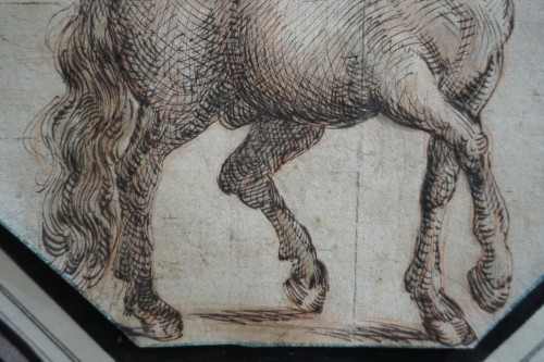 Étude de cheval - école italienne du XVIIe siècle - Galerie Noël Ribes