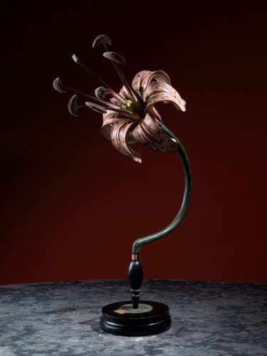 Modèle anatomique d’une fleur de Lys – Robert et Reinhold Brendel - Galerie Lamy Chabolle