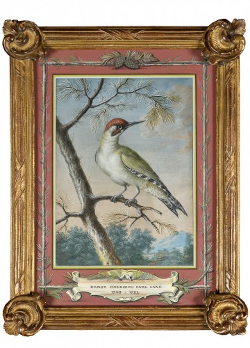 Pic vert - Ernst Friedrich Carl Lang (1748-1782)