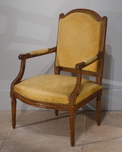 Sièges Fauteuil & Bergère - Deux fauteuils Louis XVI