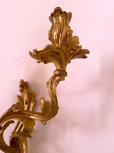 Paire d'appliques Louis XV en bronze doré - Jullion Antiquités