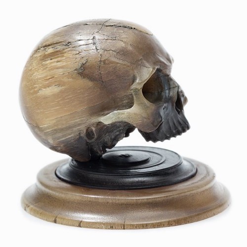 Antiquités - Sculpture en corne d'un crâne, Allemagne milieu du 17e siècle