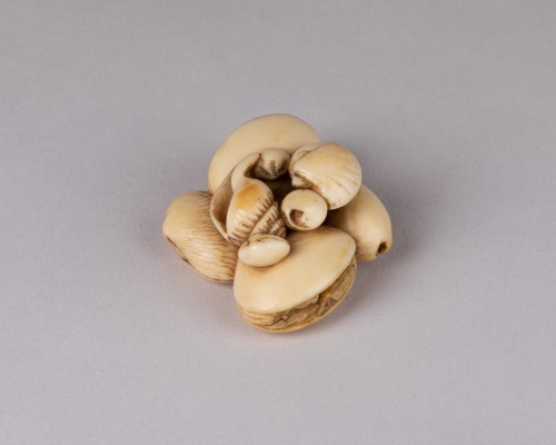 Netsuke - Coquillages accolés, Japon Edo - Arts d