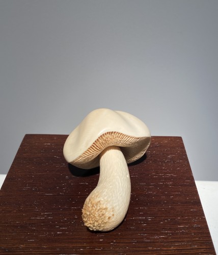 Champignon sculpté en défense de mammouth, Sibérie XXe siècle - Objets de Curiosité Style 