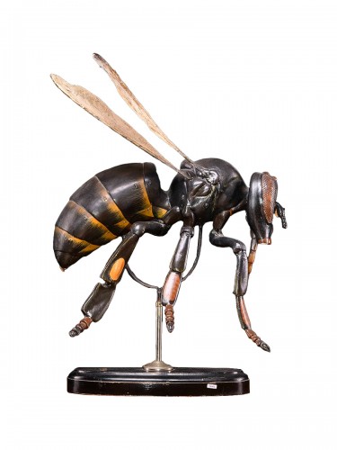 Grands modèles didactiques d'une abeille (Apis mellifica) par Robert Brendel