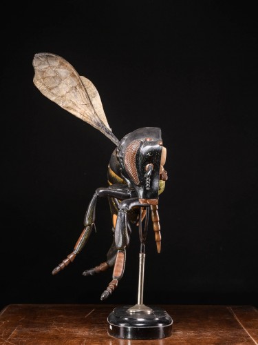 Grands modèles didactiques d'une abeille (Apis mellifica) par Robert Brendel - Objets de Curiosité Style 