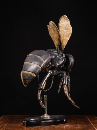 Grands modèles didactiques d'une abeille (Apis mellifica) par Robert Brendel - Spectandum