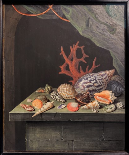 Nature morte aux coquillages - Elisabeth Christina Matthes (1749-1808) - Tableaux et dessins Style 