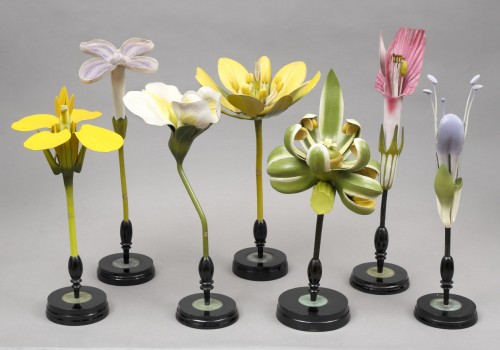 Collection des modèles de fleurs, par Robert Brendel - Objets de Curiosité Style Napoléon III