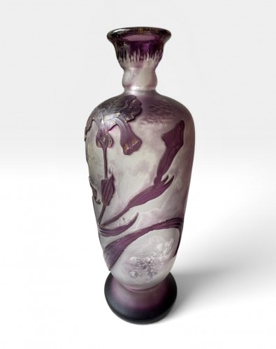 Art nouveau - Désiré Christian - Burgun, Schverer &amp; Cie Vase With Irises