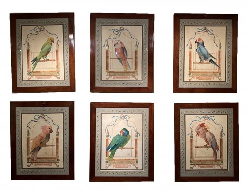 Série de 10 grandes aquarelles de perroquets