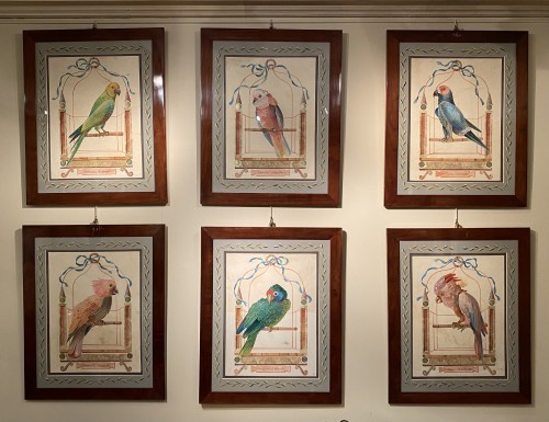Série de 10 grandes aquarelles de perroquets - Tableaux et dessins Style Napoléon III