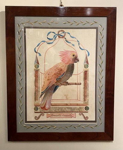 Paintings & Drawings  - 10 watercolors drawings of parrots
