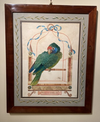 Série de 10 grandes aquarelles de perroquets - AJ Antiquités