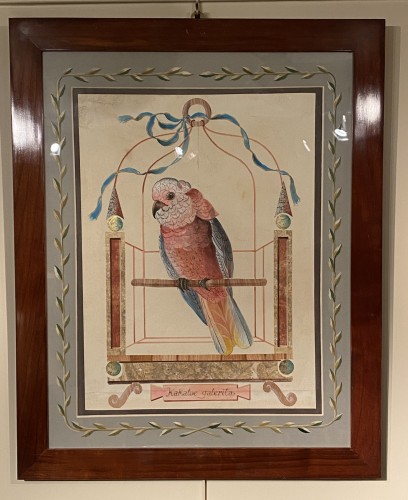 Antiquités - 10 watercolors drawings of parrots