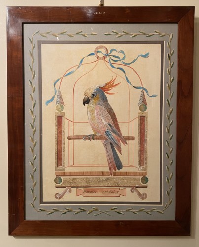 Antiquités - Série de 10 grandes aquarelles de perroquets