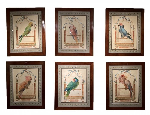 Série de 6 grandes aquarelles XIXe représentant des perroquets