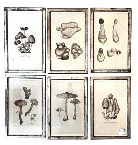 Set of 6 18th century prints