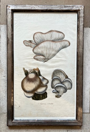 Engravings & Prints  - Set of 6 18th century prints