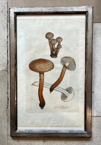 Set of 6 18th century prints - 