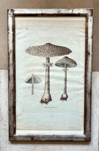 18th century - Set of 6 18th century prints