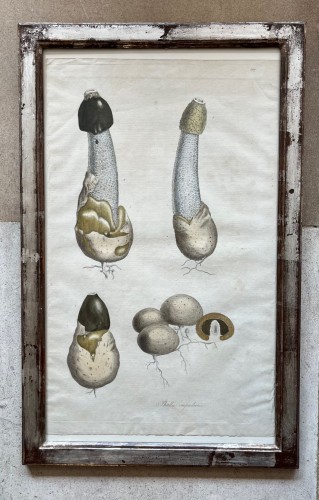 Set of 6 18th century prints - 