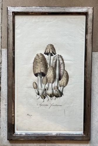  - Set of 6 18th century prints