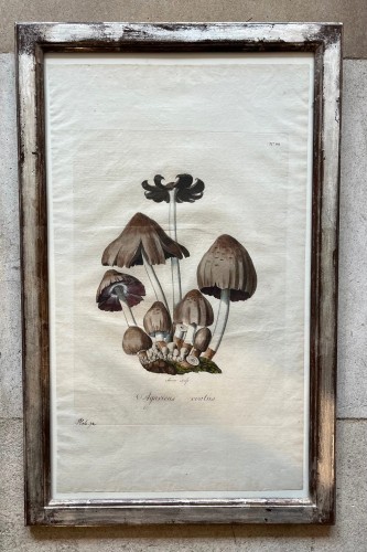 Antiquités - Set of 6 18th century prints