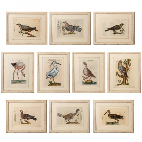 Series of 11 bird engravings, Italy 16th century
