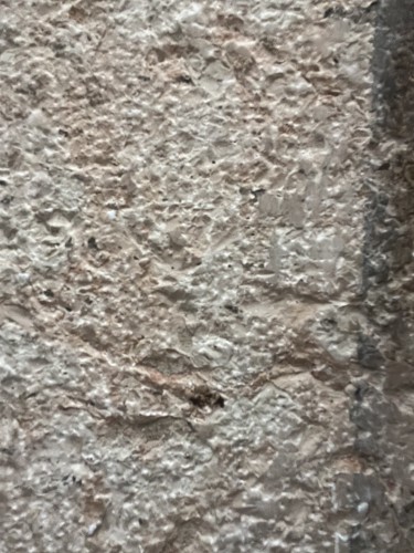 Marble top inlaid with ancient marbles - 