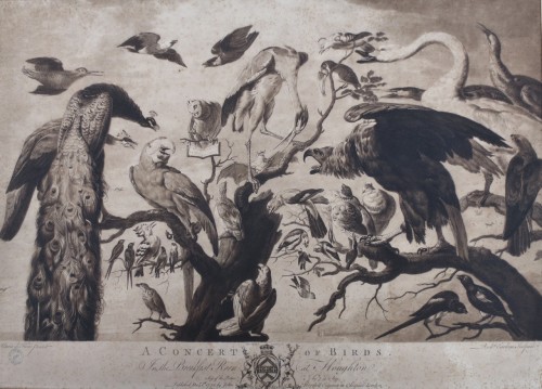 Gravures et livres anciens  - Gravure XVIIIe siècle, « A Concert of Birds »