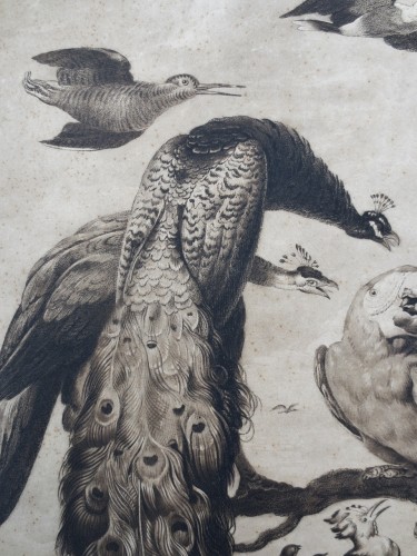 Gravure XVIIIe siècle, « A Concert of Birds » - 