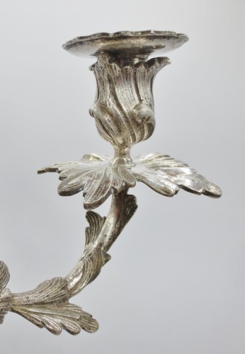 Paire de candélabres en bronze argenté - Anne Besnard