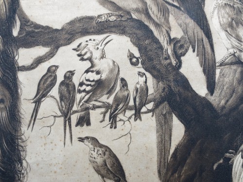  - 18th century engraving &quot;A Concert of Birds&quot;.