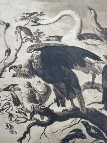 Antiquités - 18th century engraving &quot;A Concert of Birds&quot;.