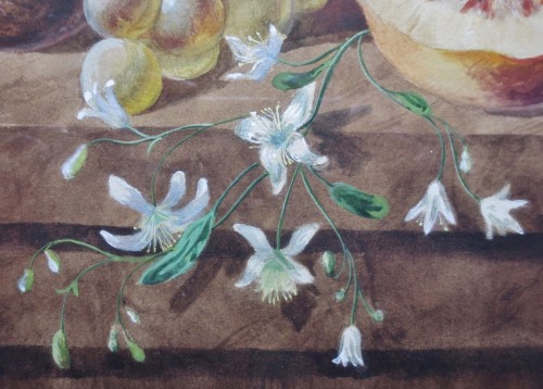  - Nature morte aux fruits, gouache XIXe siècle