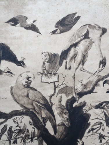 XVIIIe siècle - Gravure XVIIIe siècle, « A Concert of Birds »