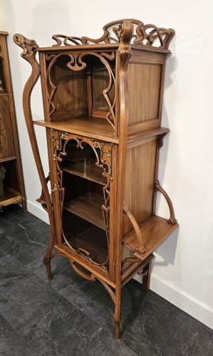 Mobilier Bibliothéque, vitrine - Vitrine Art nouveau "Coups de fouets"