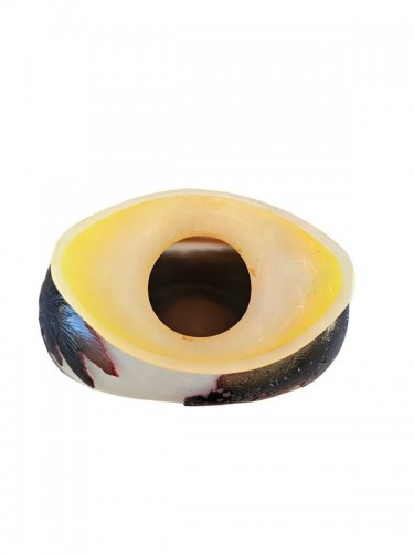 Antiquités - Emile Gallé -  Important Vase "Rio de Janeiro"
