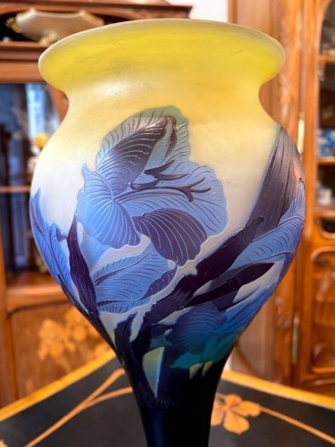 Emile Gallé - Vase Art Nouveau "Aux Glaïeuls" - Art nouveau