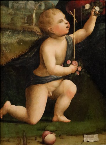 Saint Jean-Baptiste enfant, attribué à Marco Palmezzano (c. 1459 – 1539) et atelier