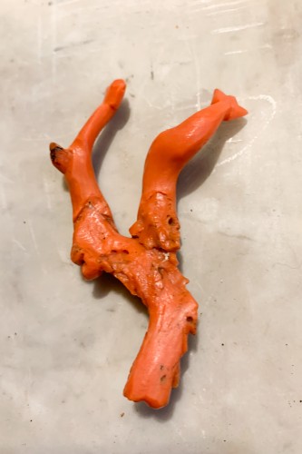 A Carved Coral Amulet With Two Dolphins, 19th Century - 