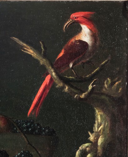 Carlo Antonio Crespi (1712 - 1781), Still life with fruit, an amphora and a parrot  - 
