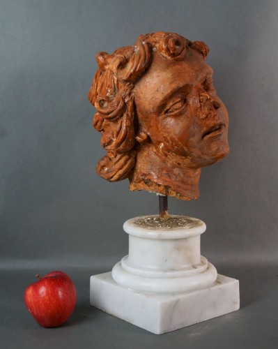 Antiquités - 16th Century Italian Renaissance Terracotta Head