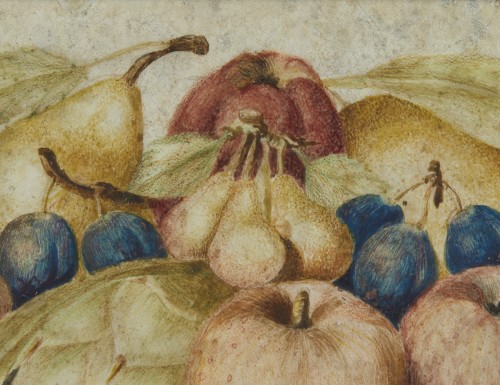 XVIIe siècle - Nature morte à détrempe sur parchemin - Octavianus Monfort Turin (1620-1696)