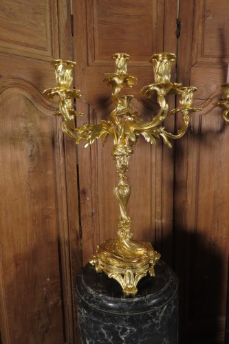 Paire de candélabres Rocaille en bronze doré - Epoque Napoléon III - Luminaires Style Napoléon III