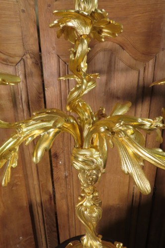 Luminaires Bougeoirs et Chandeliers - Paire de candélabres Rocaille en bronze doré - Epoque Napoléon III